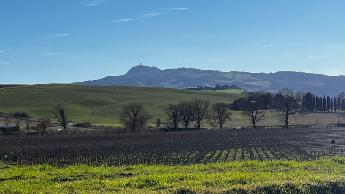 Tenuta di Trinoro