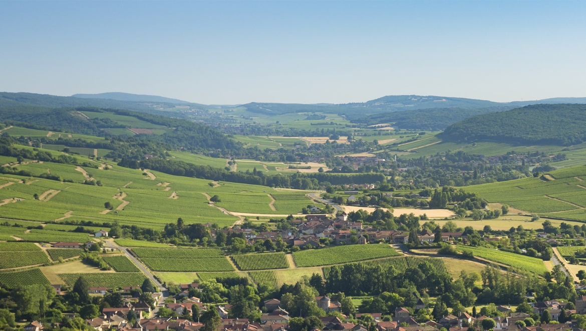 Domaine Fichet