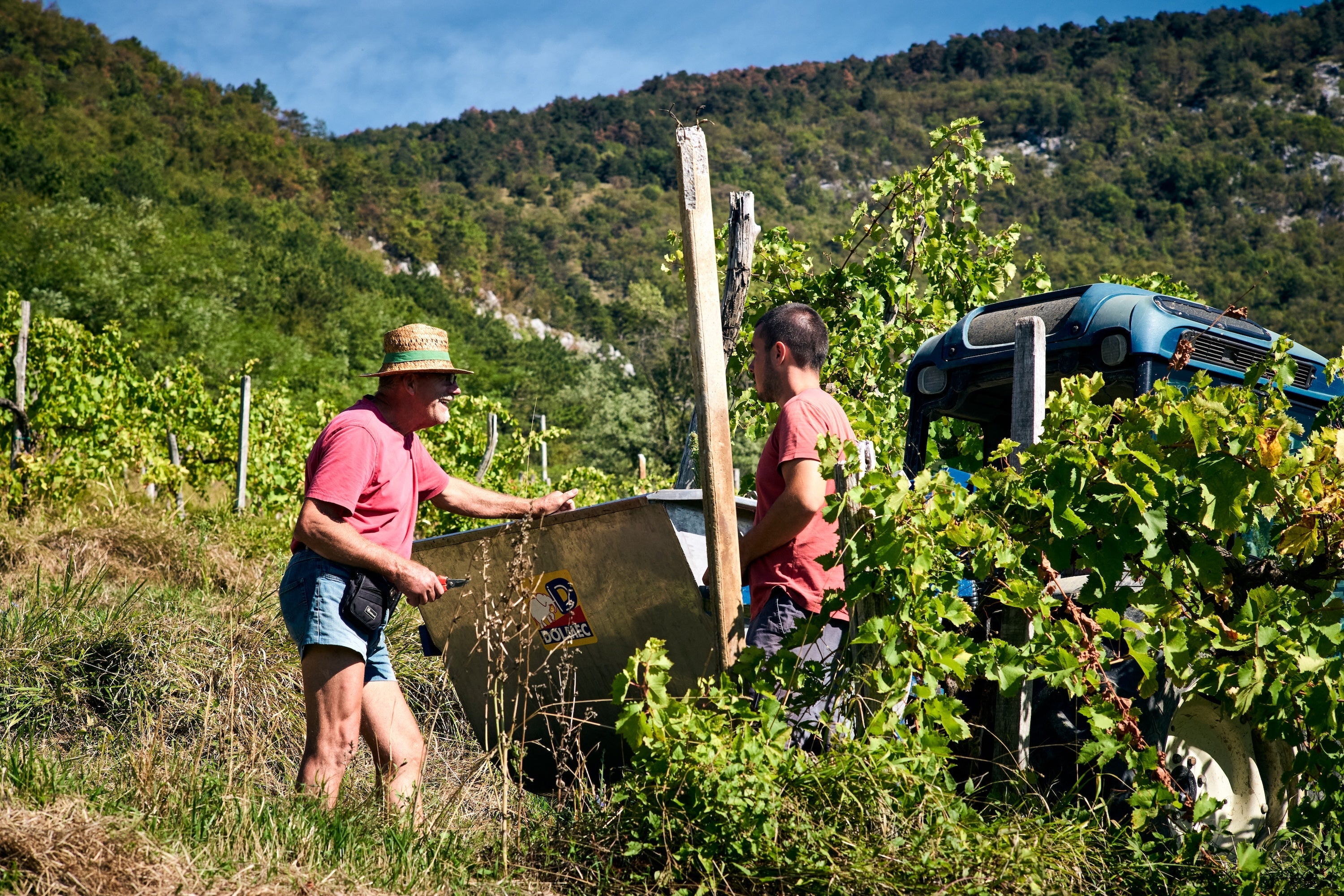 Domaine Vicomte de Noûe.Marinič