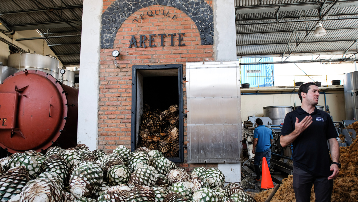 Tequila Arette / Blanco Tequila 100% de Agave - Roma Wines