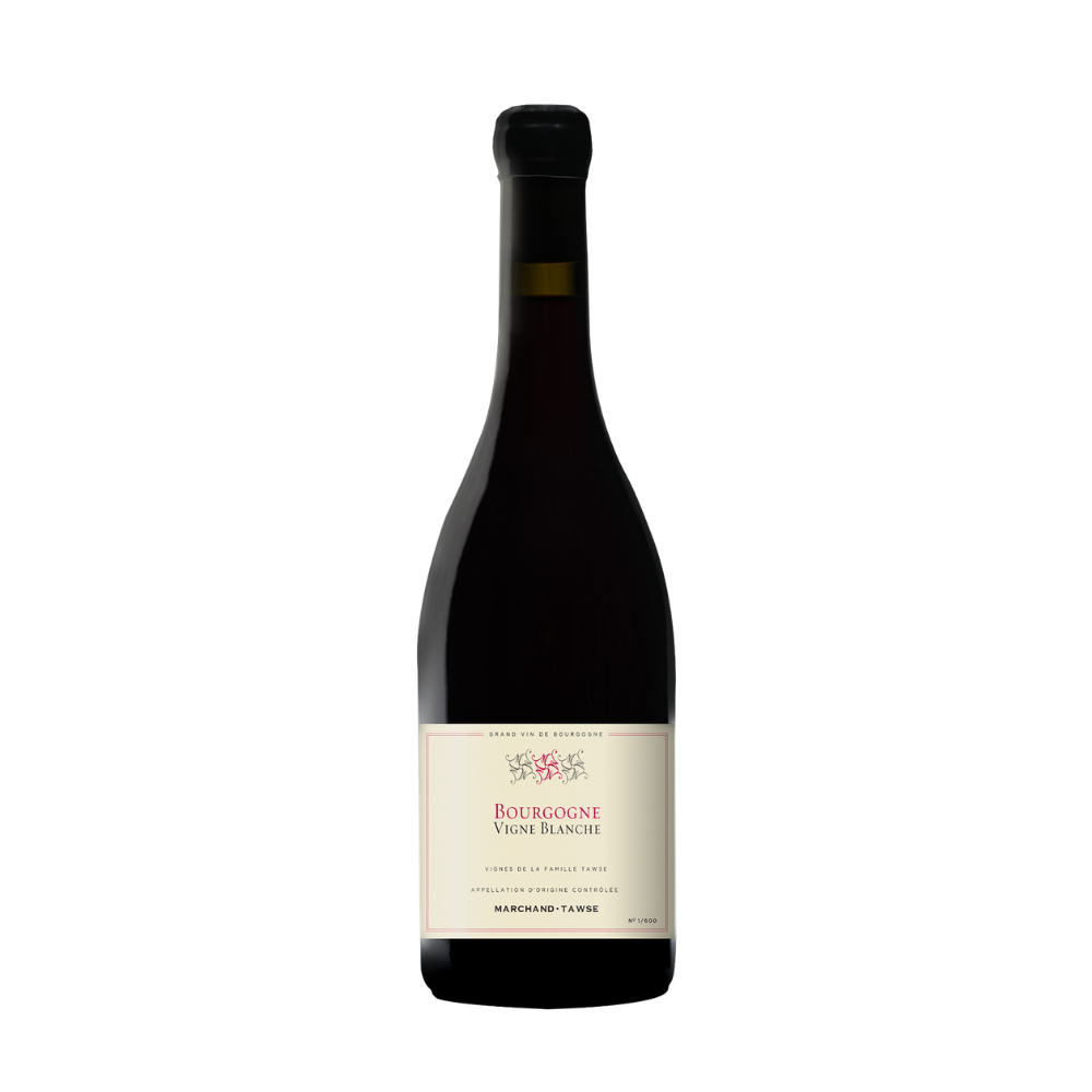 Marchand-Tawse Bourgogne 'Vigne Blanche'