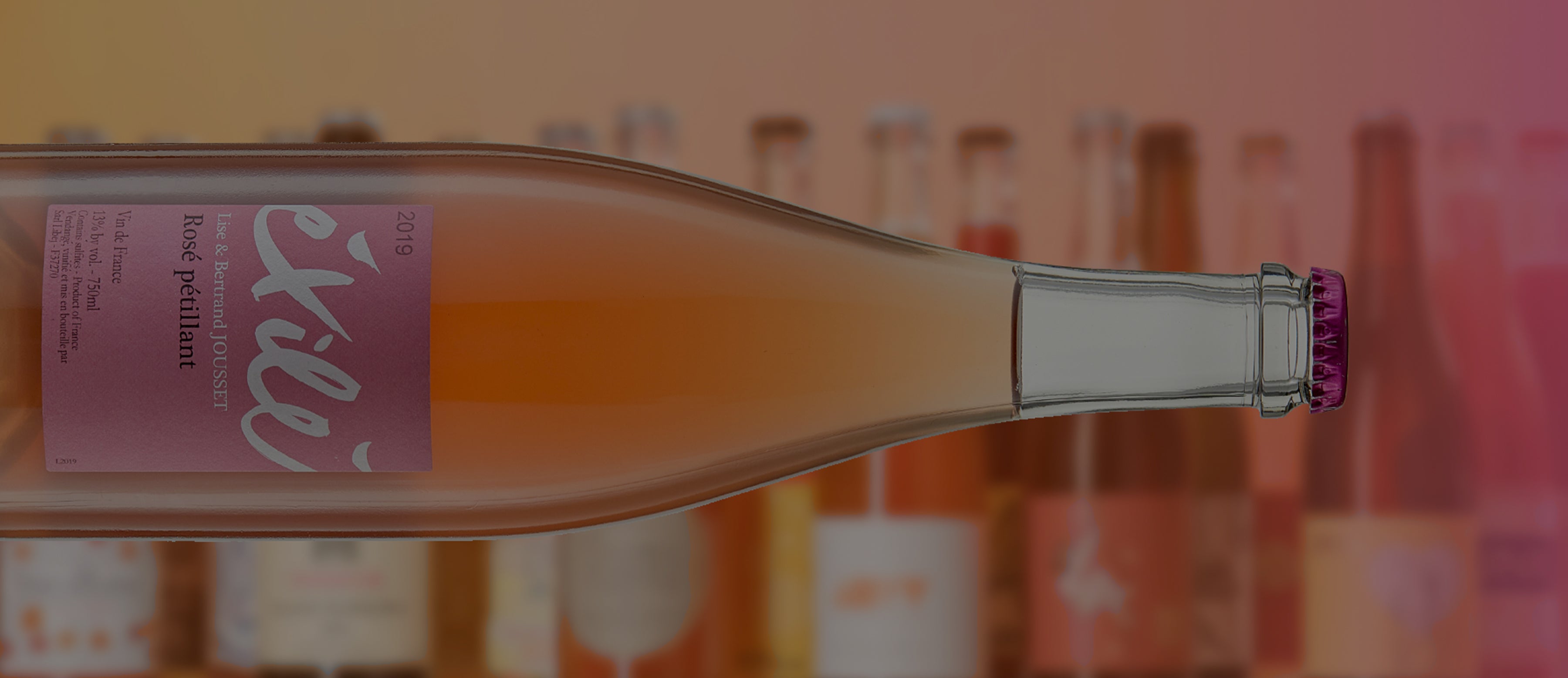 Pet Nat Wines Collection Header for Pet-Nat Wines at T. Edward Wine & Spirits