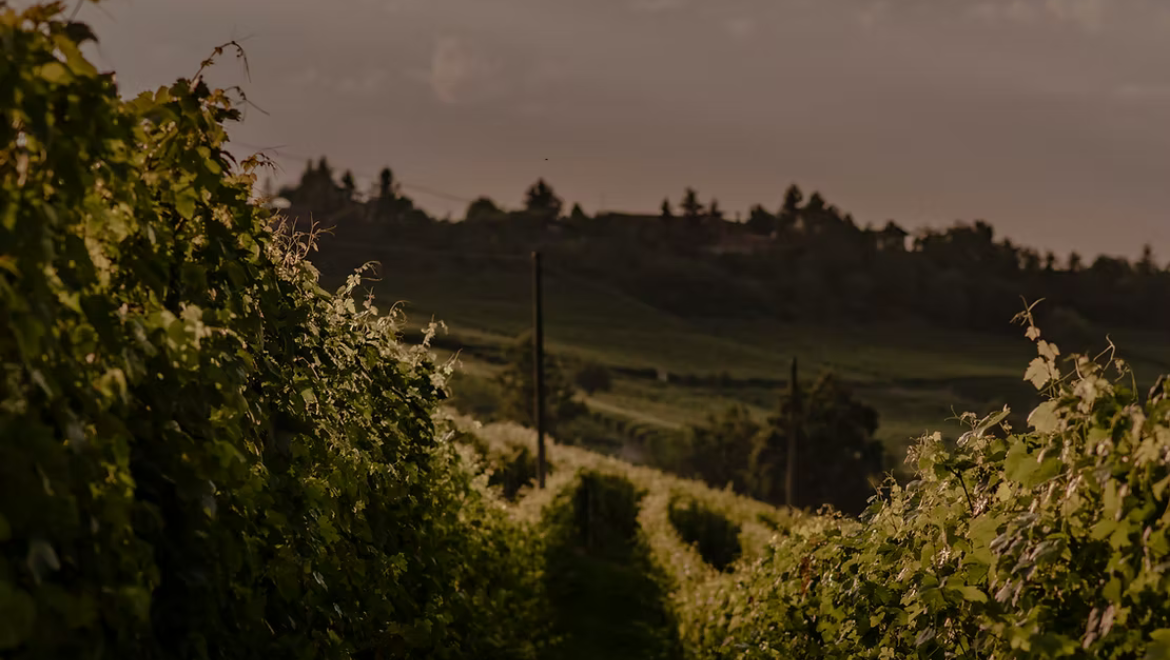 Cascina Ebreo