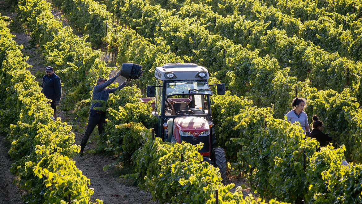 Domaine de Montvac