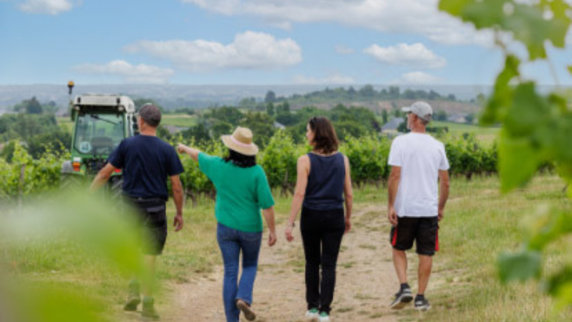 Domaine Musset-Roullier