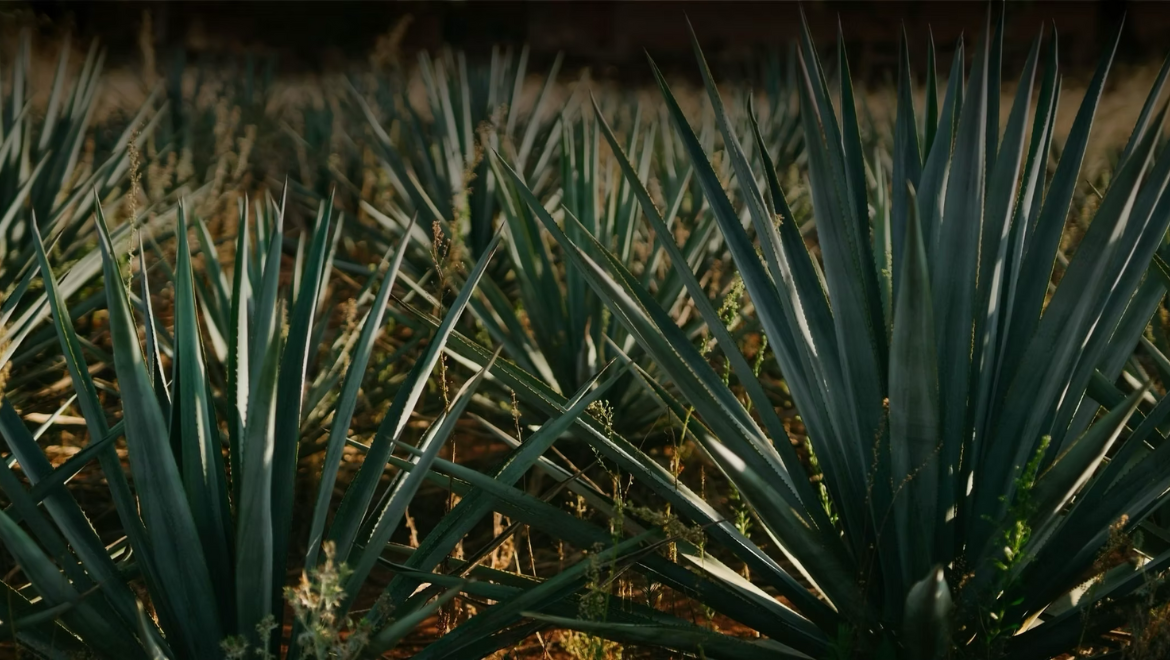 Hacienda de Bañuelos