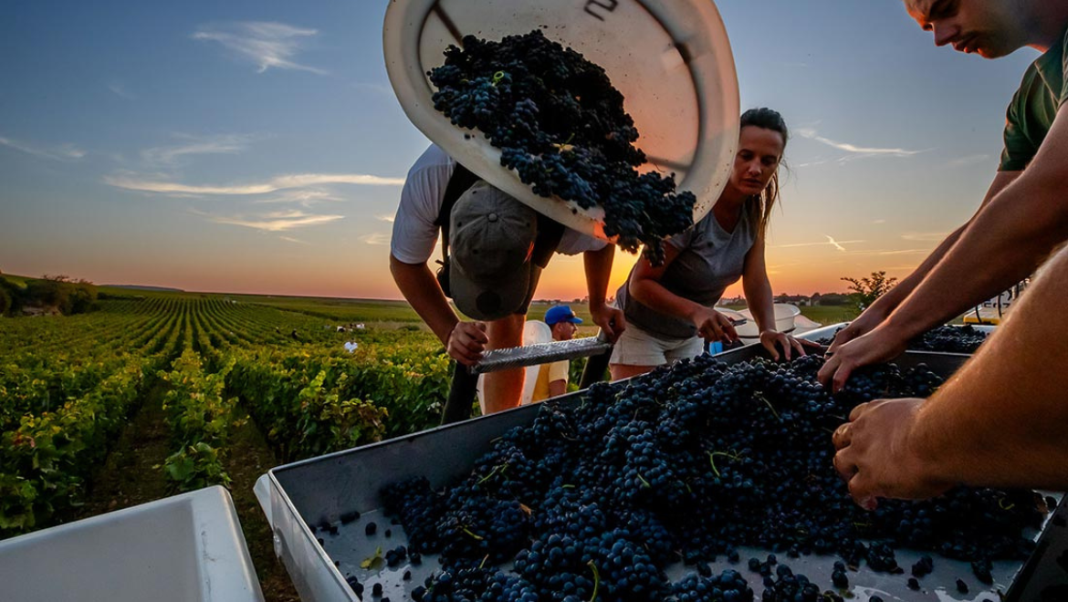 Domaine Arnoux Pere & Fils