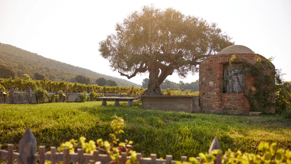 Chateau Malherbe