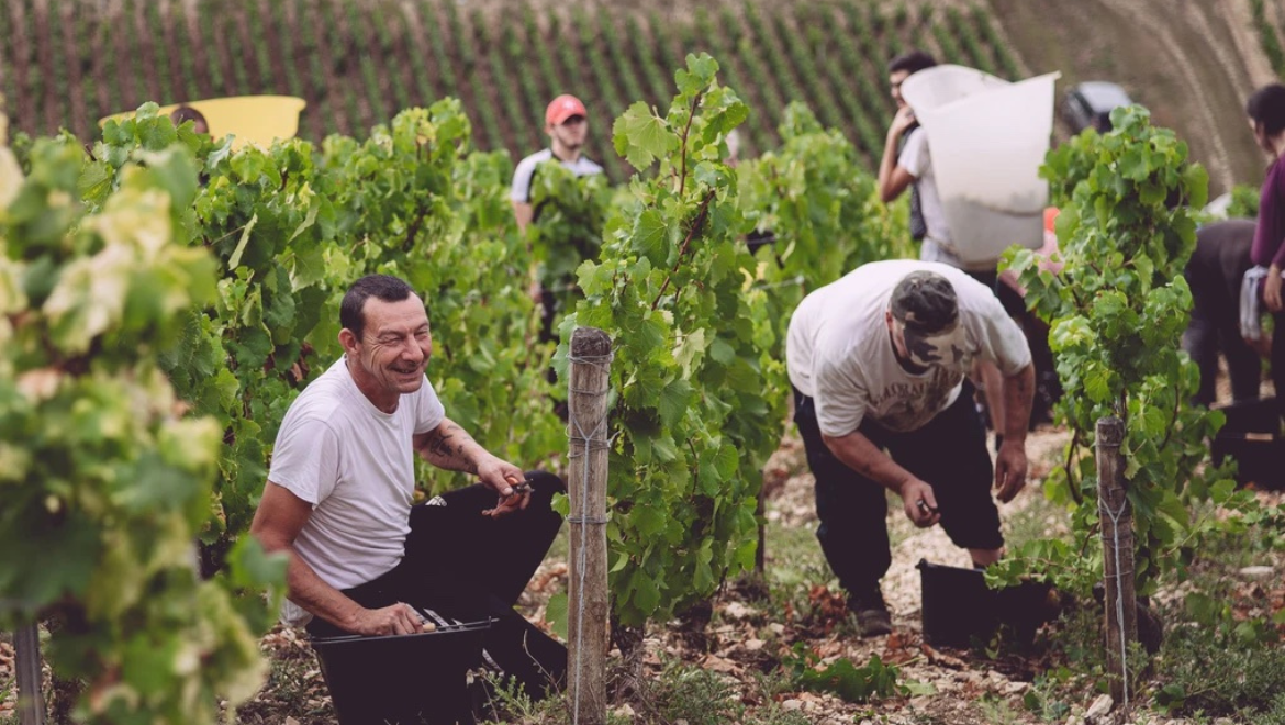 Domaine de l'Enclos
