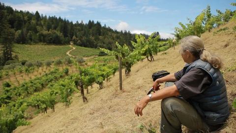 Poco a Poco | T. Edward Wines & Spirits