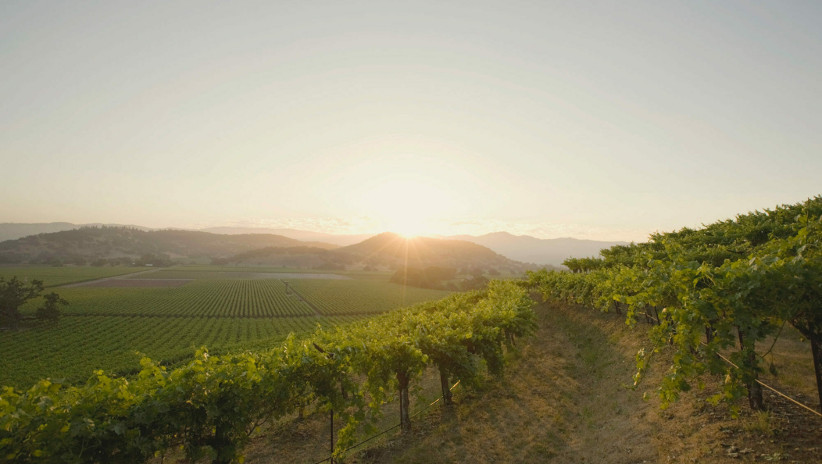 Vine Hill Ranch