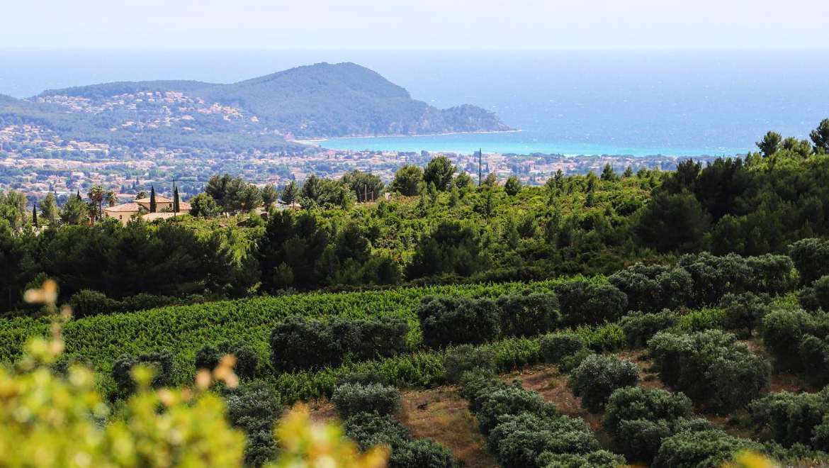 Domaine La Suffrene