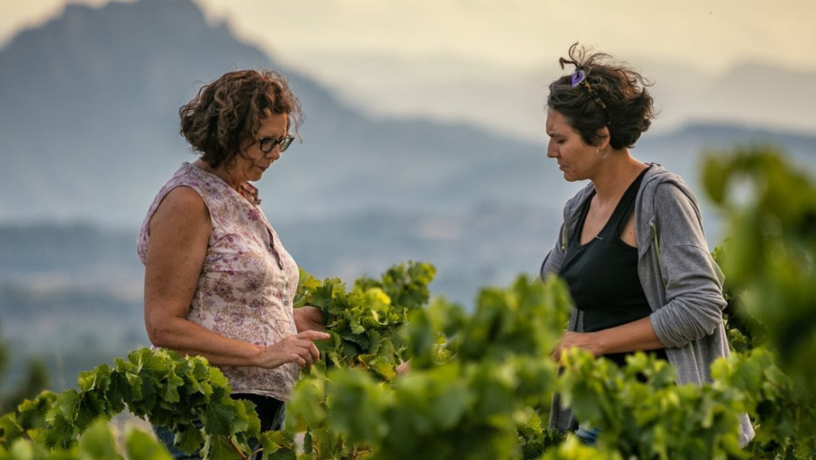 Celler Bàrbara Forés