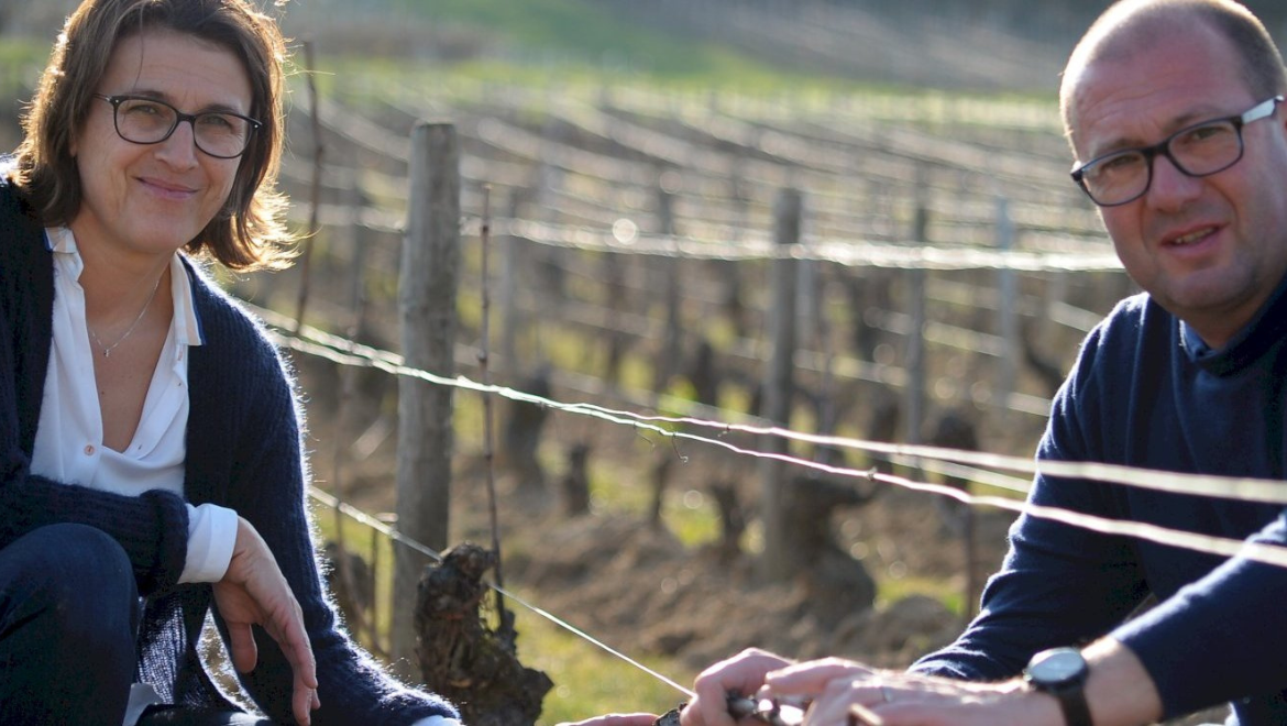 Domaine Serge Laloue