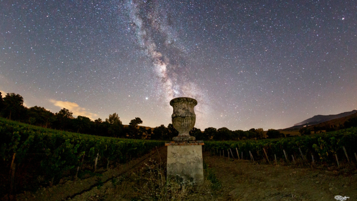 Tenuta di Trinoro
