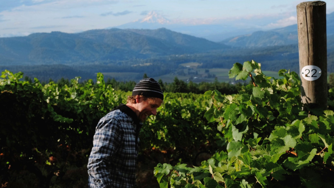 Analemma Wines