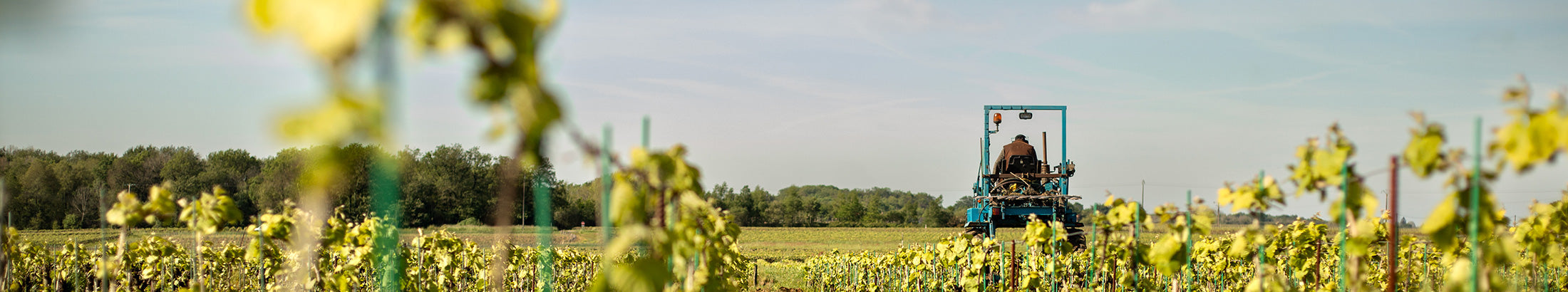 Domaine Ménard-Gaborit