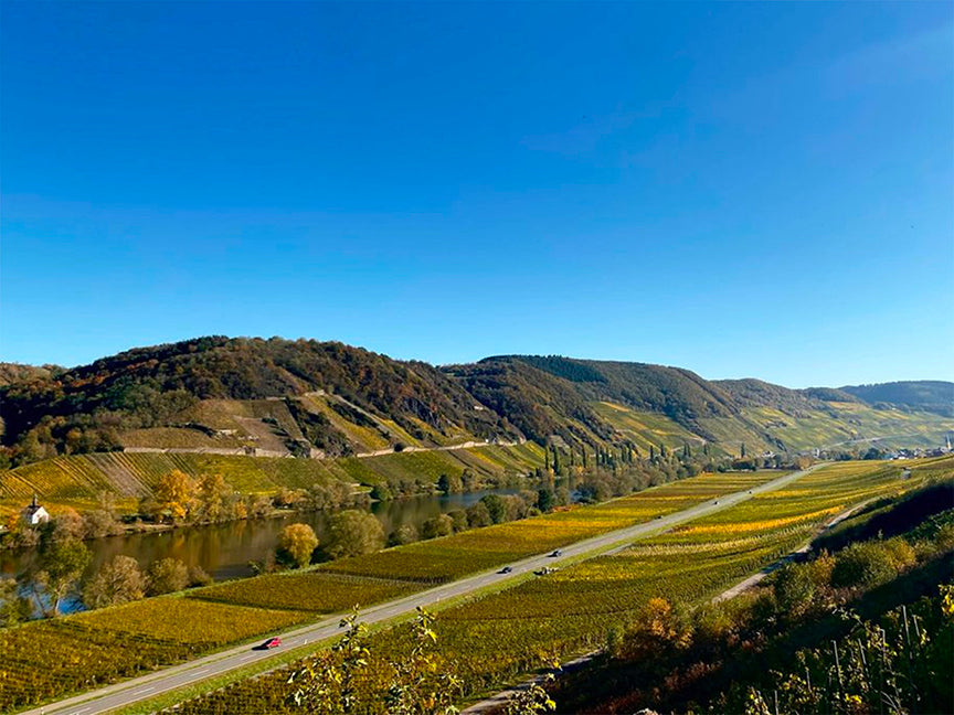 Weingut Unterlind