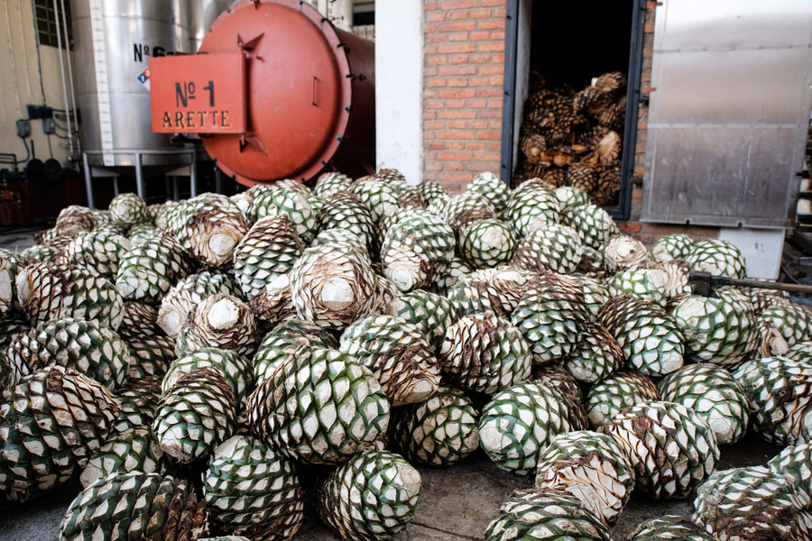 The 30 Best Tequilas for 2026