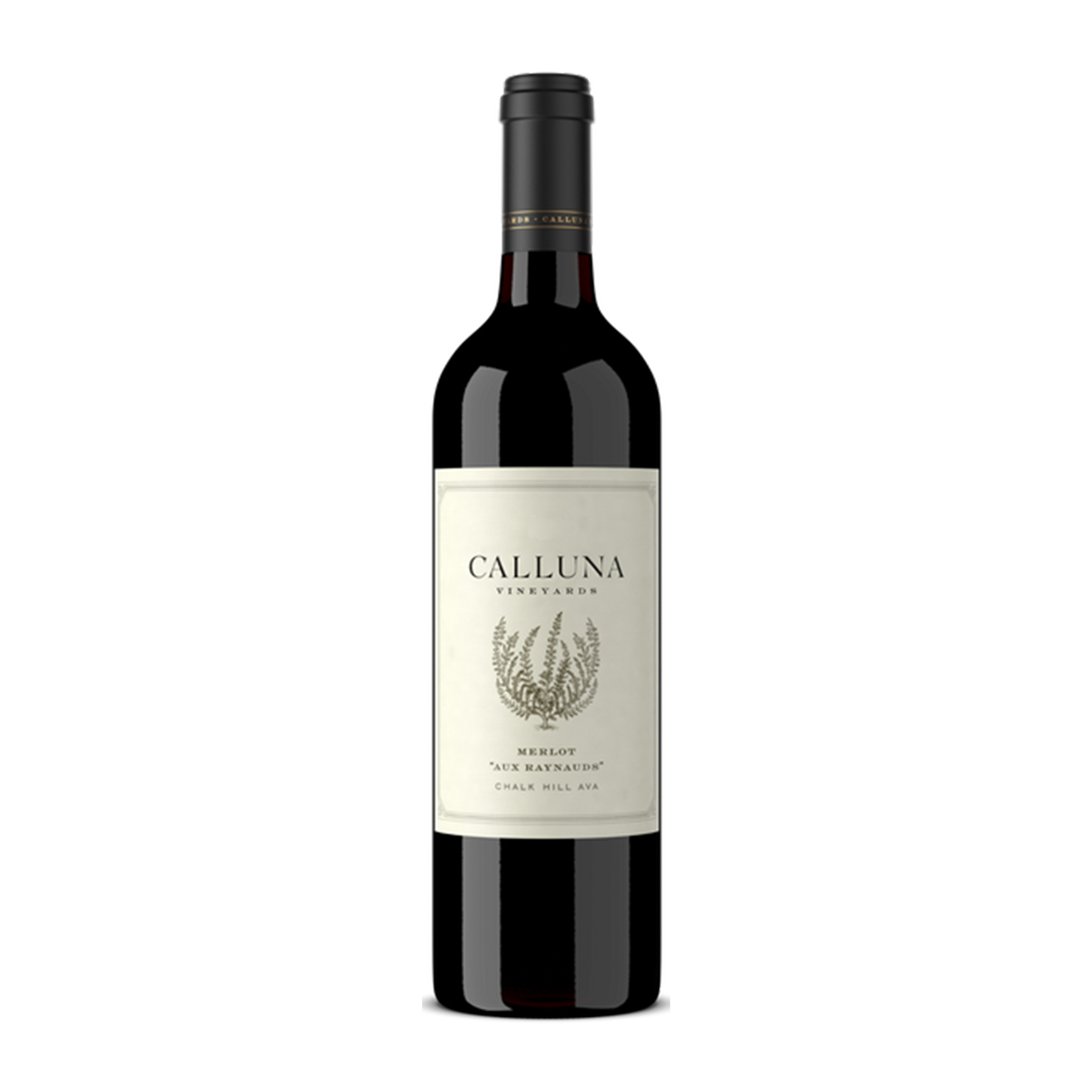 Merlot 'Aux Raynauds' Chalk Hill 2019 Product Shot