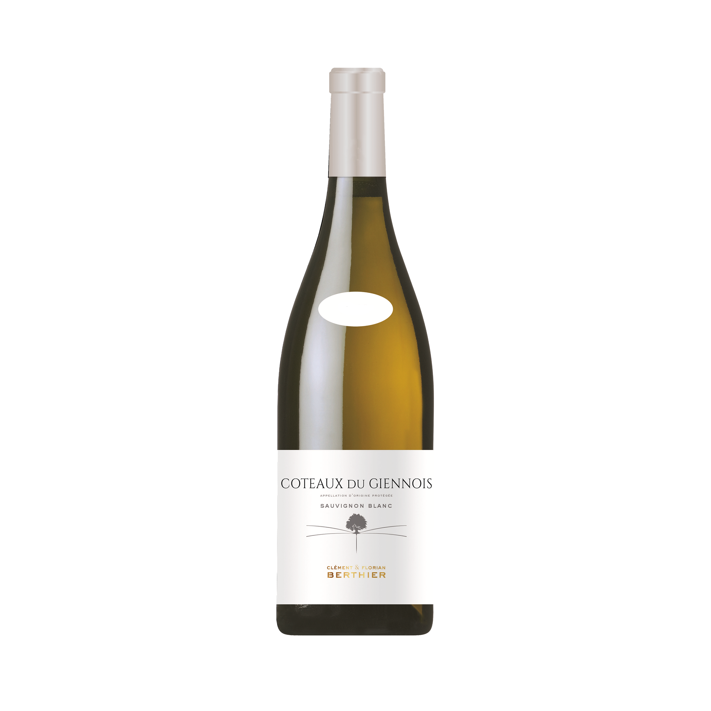 Coteaux du Giennois Blanc  - 2022