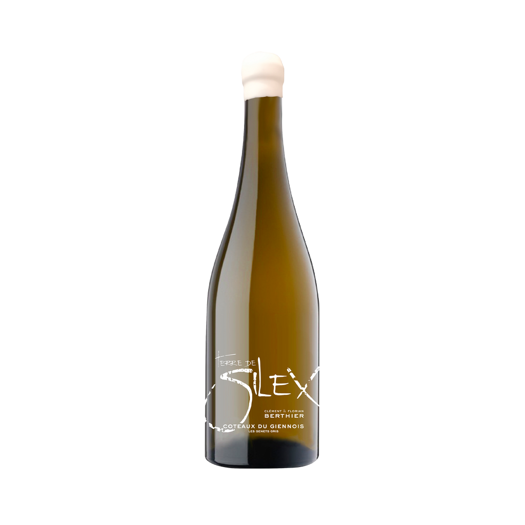 Coteaux du Giennois Blanc 'Terre de Silex'  - 2021