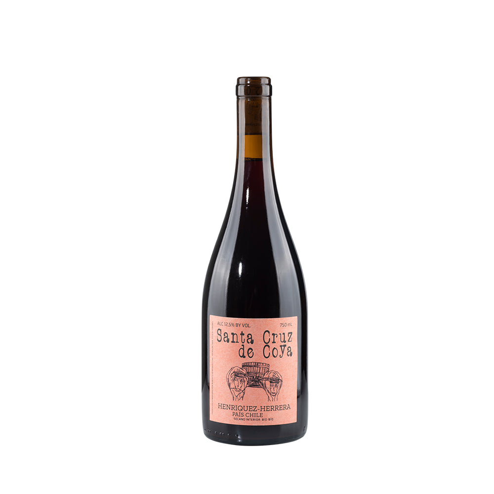 Santa Cruz de Coya 2021 Product Shot