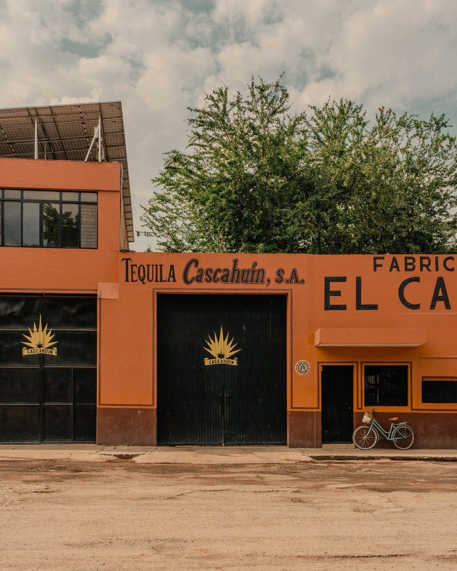 We Asked 10 Bartenders: What’s the Best New Tequila That’s Earned a Spot on Your Bar? (2026)