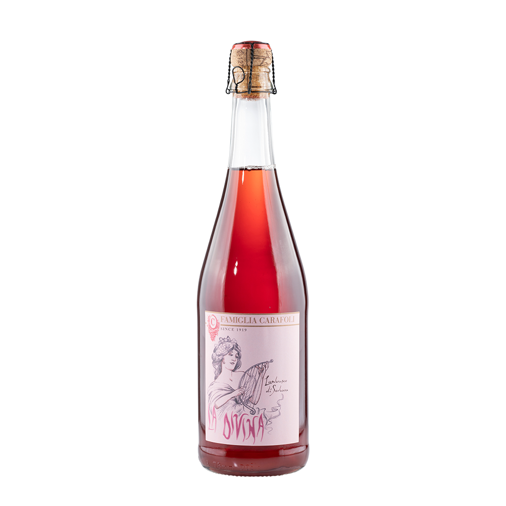 tomo930 LINARIリナーリ RUBINO(ルビーノ) La Divina Lambrusco di Sorbara Pet Nat N/V DOC | T. Edward Wines