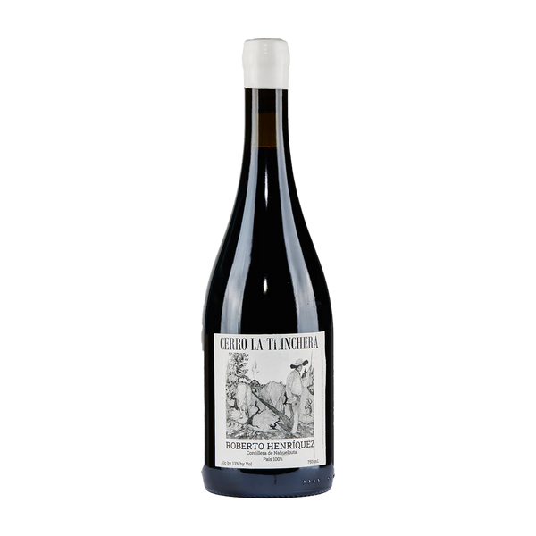 Roberto Henriquez Cerro La Trinchera Viticole | T. Edward Wines